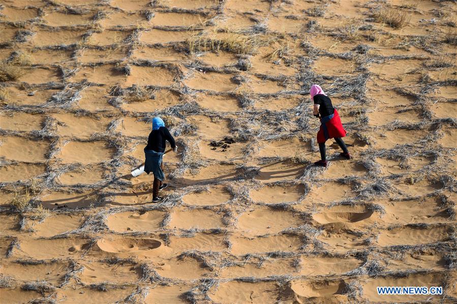 CHINA-INNER MONGOLIA-TENGGER DESERT-DESERTIFICATION CONTROL (CN)