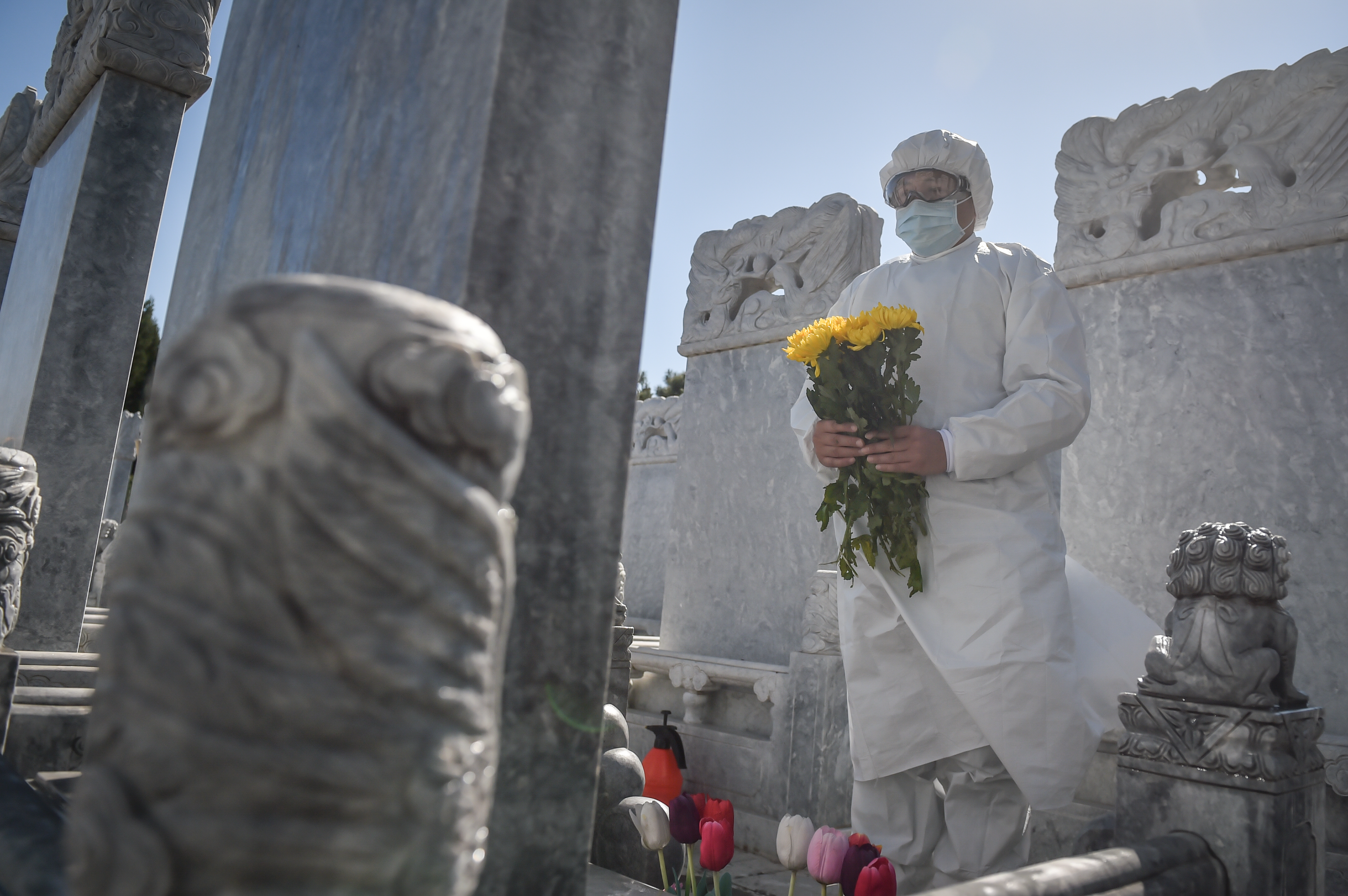 China Focus: Amid COVID-19 outbreak, tomb sweeping goes digital