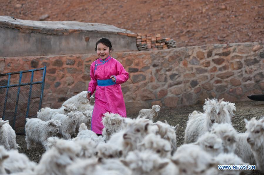 (FOCUS)CHINA-INNER MONGOLIA-GOBI-STUDENT-ONLINE CLASS (CN)