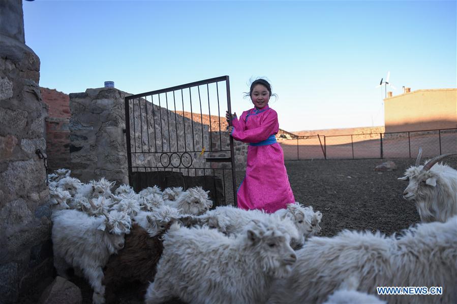 (FOCUS)CHINA-INNER MONGOLIA-GOBI-STUDENT-ONLINE CLASS (CN)