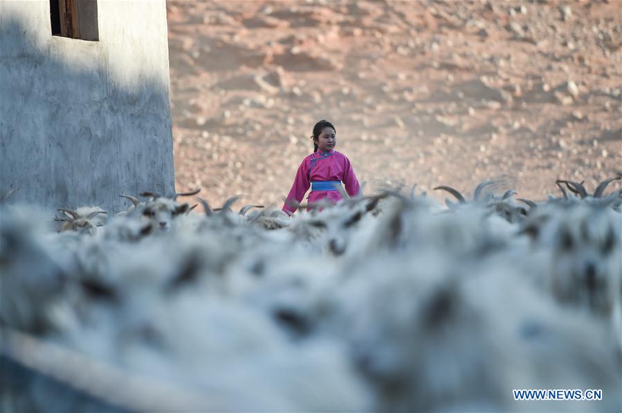 (FOCUS)CHINA-INNER MONGOLIA-GOBI-STUDENT-ONLINE CLASS (CN)