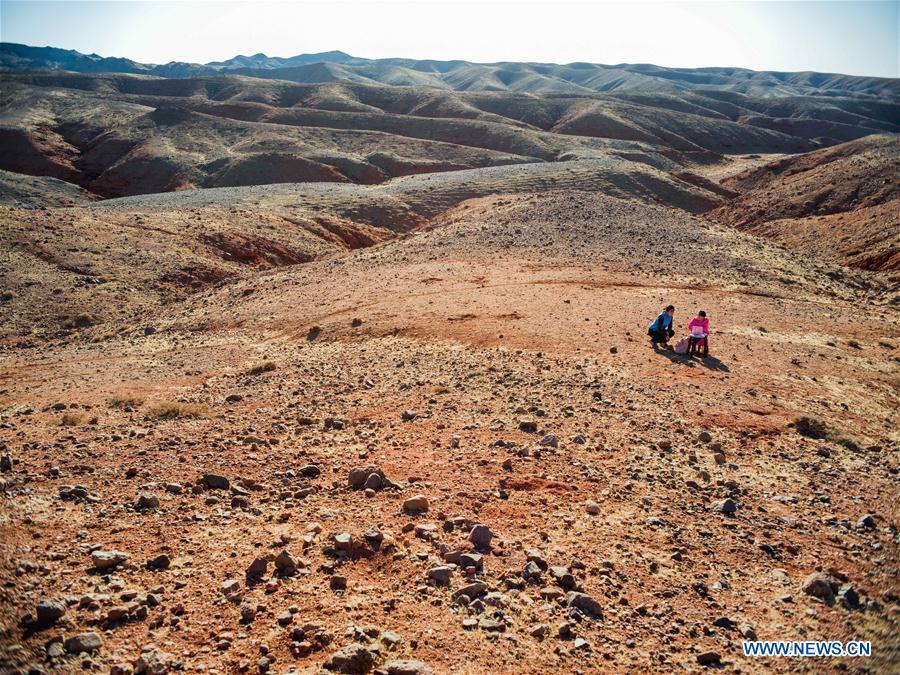 (FOCUS)CHINA-INNER MONGOLIA-GOBI-STUDENT-ONLINE CLASS (CN)