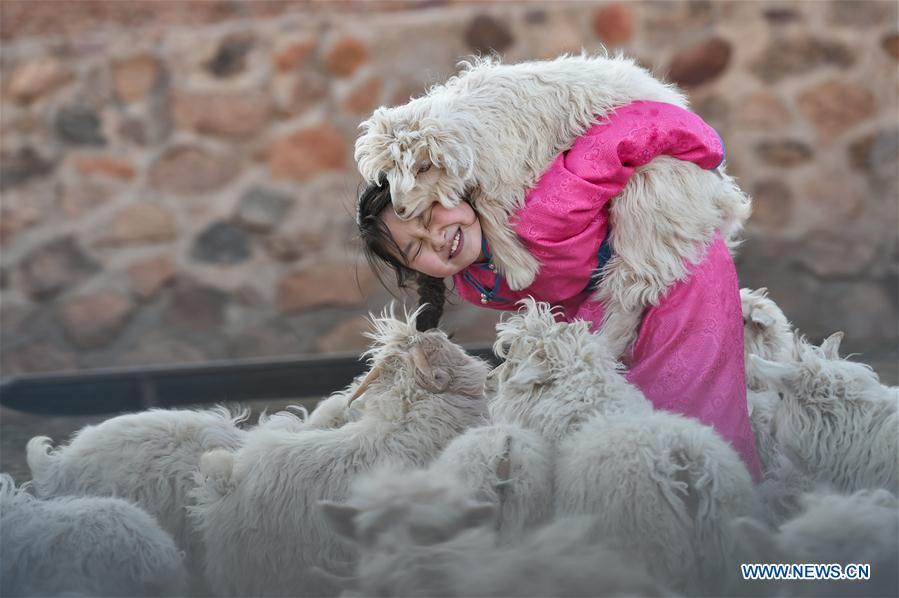 (FOCUS)CHINA-INNER MONGOLIA-GOBI-STUDENT-ONLINE CLASS (CN)