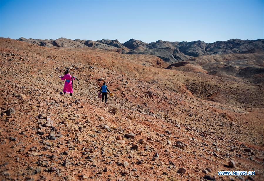 (FOCUS)CHINA-INNER MONGOLIA-GOBI-STUDENT-ONLINE CLASS (CN)