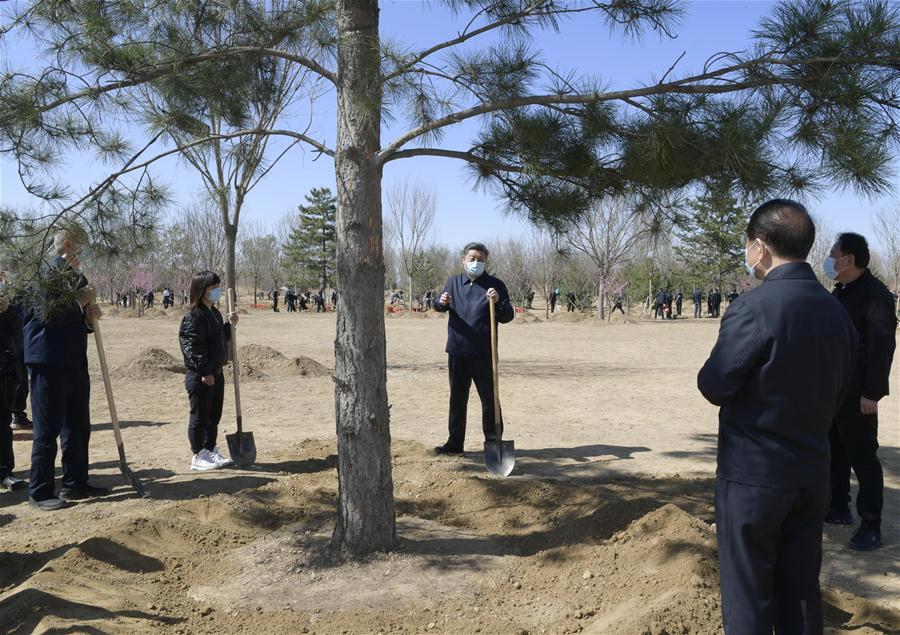 CHINA-BEIJING-LEADERS-TREE PLANTING (CN)