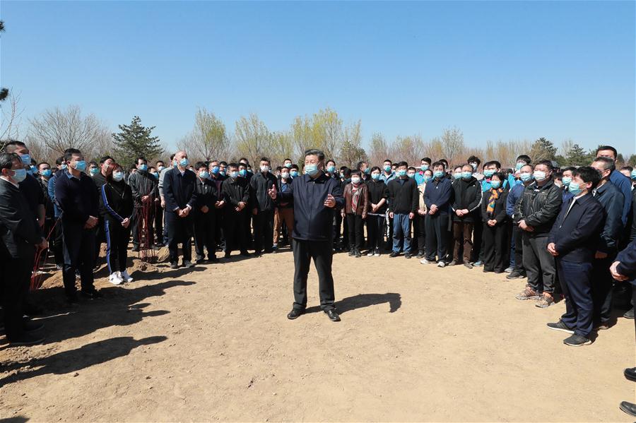 CHINA-BEIJING-LEADERS-TREE PLANTING (CN)