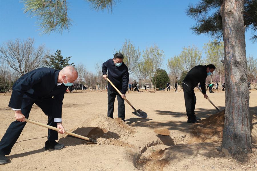 CHINA-BEIJING-LEADERS-TREE PLANTING (CN)