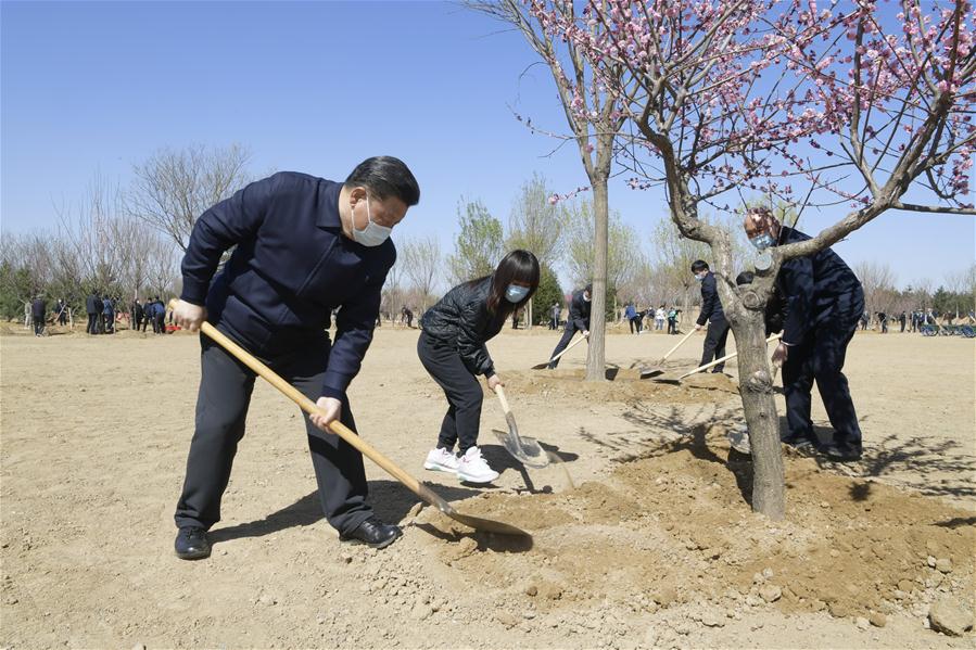 CHINA-BEIJING-LEADERS-TREE PLANTING (CN)