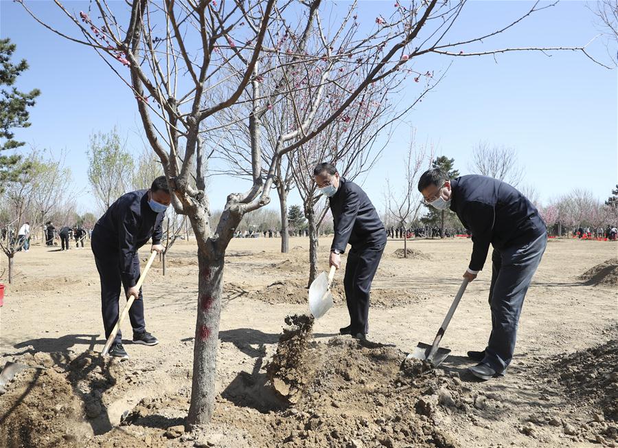 CHINA-BEIJING-LEADERS-TREE PLANTING (CN)