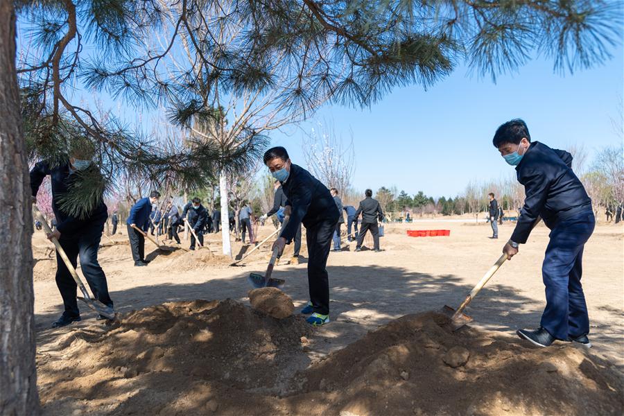 CHINA-BEIJING-LEADERS-TREE PLANTING (CN)