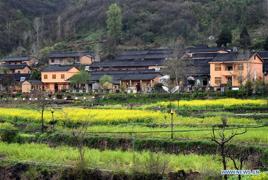 CHINA-HENAN-XINYANG-RURAL REVITALIZATION (CN)