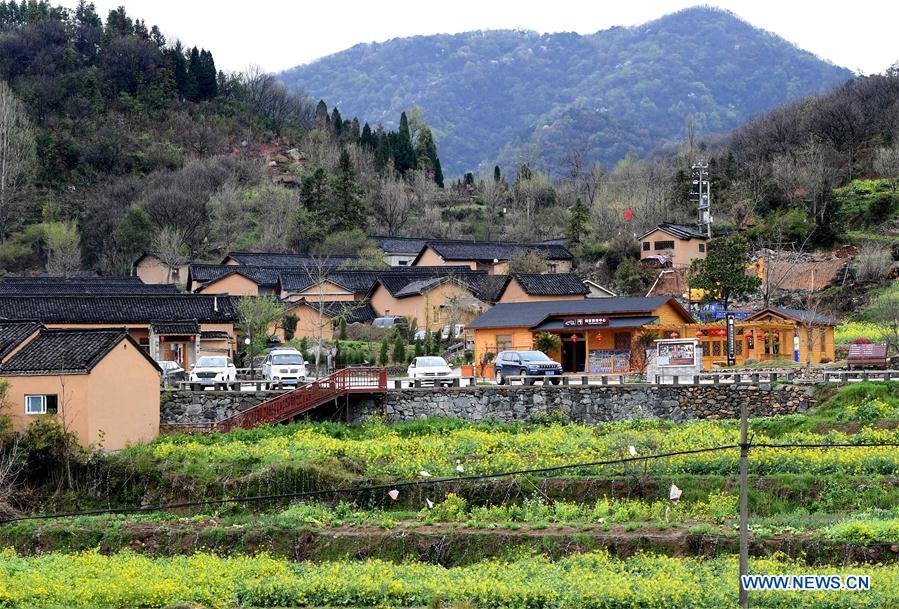 CHINA-HENAN-XINYANG-RURAL REVITALIZATION (CN)