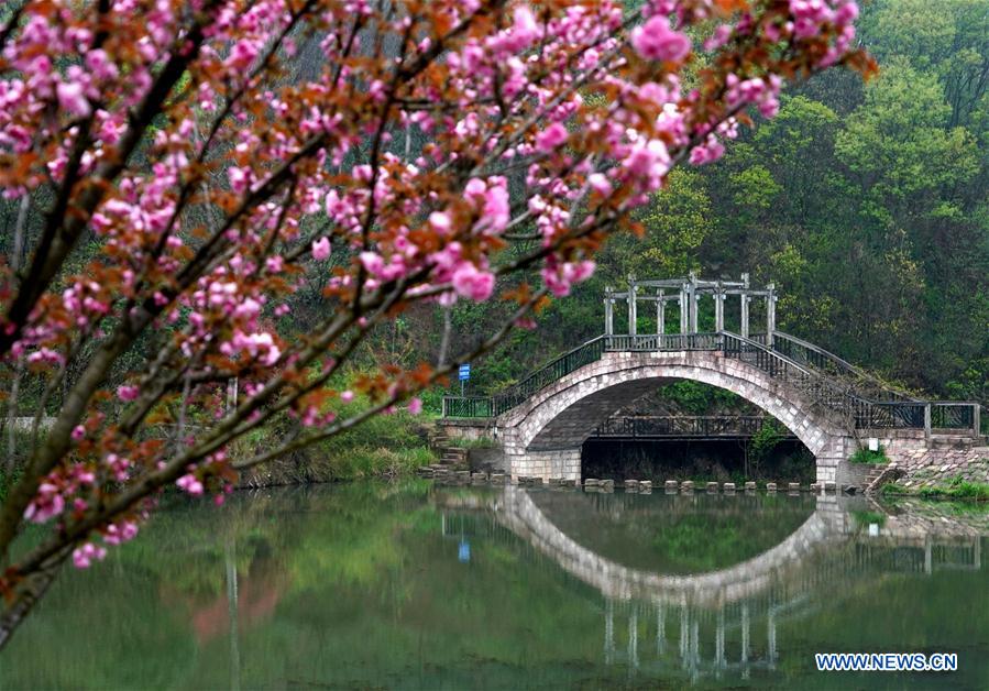 CHINA-HENAN-XINYANG-RURAL REVITALIZATION (CN)