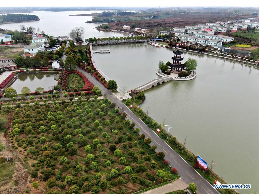 CHINA-HENAN-XINYANG-RURAL REVITALIZATION (CN)