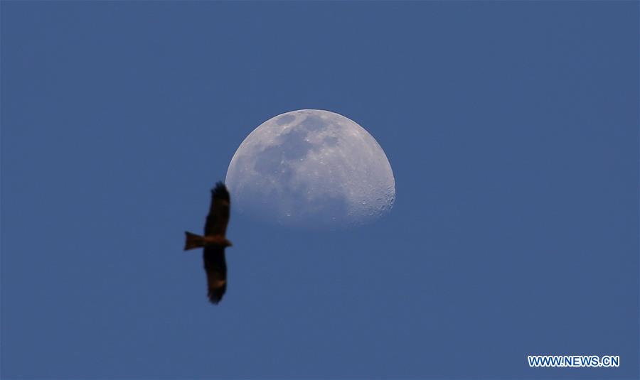 NEPAL-KATHMANDU-RISING MOON
