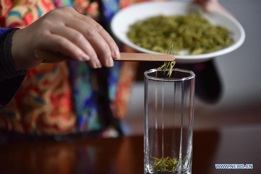 CHINA-GUIZHOU-TEA MAKING (CN)