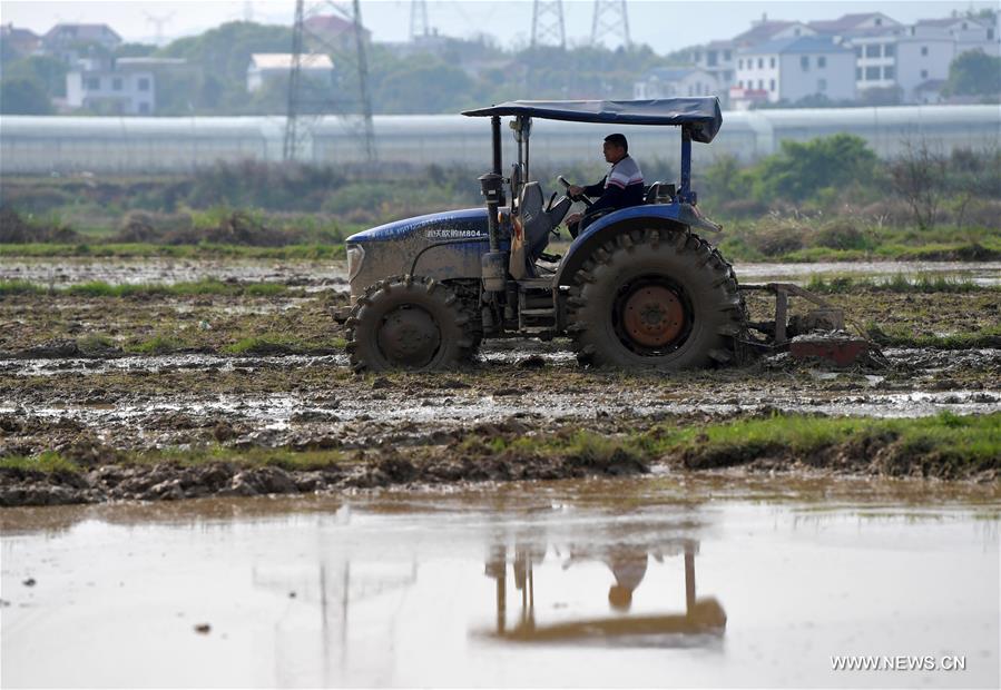 CHINA-JIANGXI-NANCHANG-SPRING-FARMING (CN)