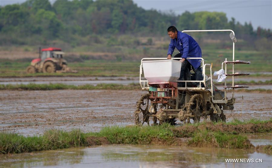 CHINA-JIANGXI-NANCHANG-SPRING-FARMING (CN)