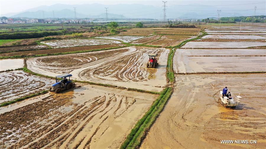 CHINA-JIANGXI-NANCHANG-SPRING-FARMING (CN)
