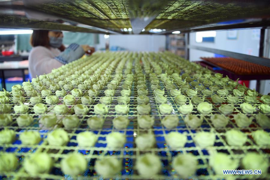 #CHINA-HUBEI-ENSHI-POVERTY-RELIEF WORKSHOP-TOYS-PRODUCTION (CN)