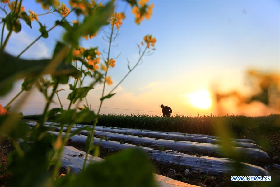 #CHINA-SPRING-FARMING (CN)
