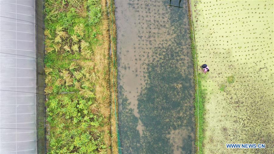 #CHINA-SPRING-FARMING (CN)