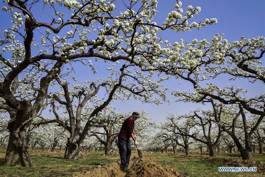 #CHINA-SPRING-FARMING (CN)