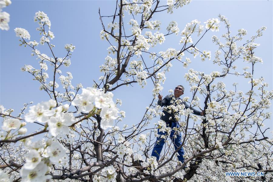 #CHINA-SPRING-FARMING (CN)