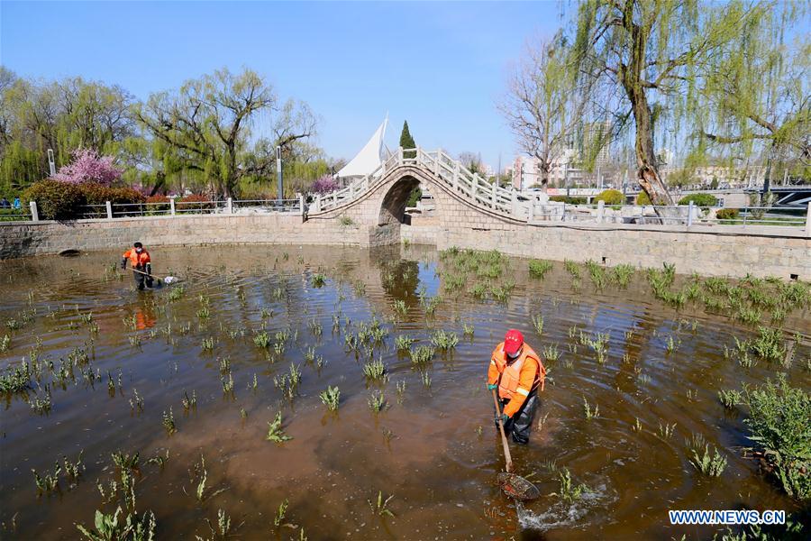 #CHINA-SHANDONG-QINGDAO-RIVER CLEANING (CN)