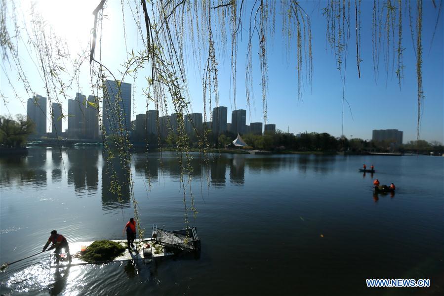 #CHINA-SHANDONG-QINGDAO-RIVER CLEANING (CN)