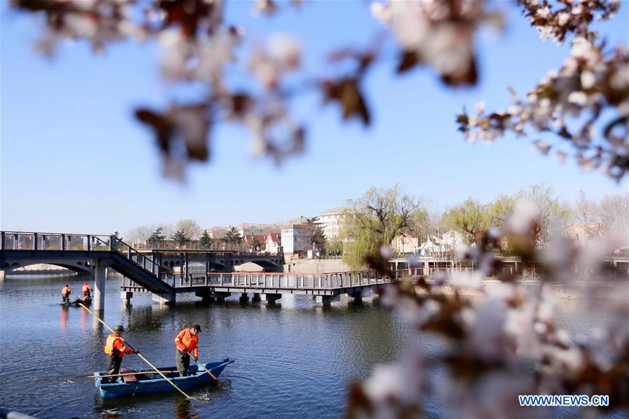 #CHINA-SHANDONG-QINGDAO-RIVER CLEANING (CN)
