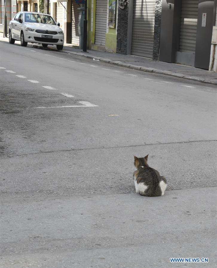 TUNISIA-TUNIS-STREET VIEW