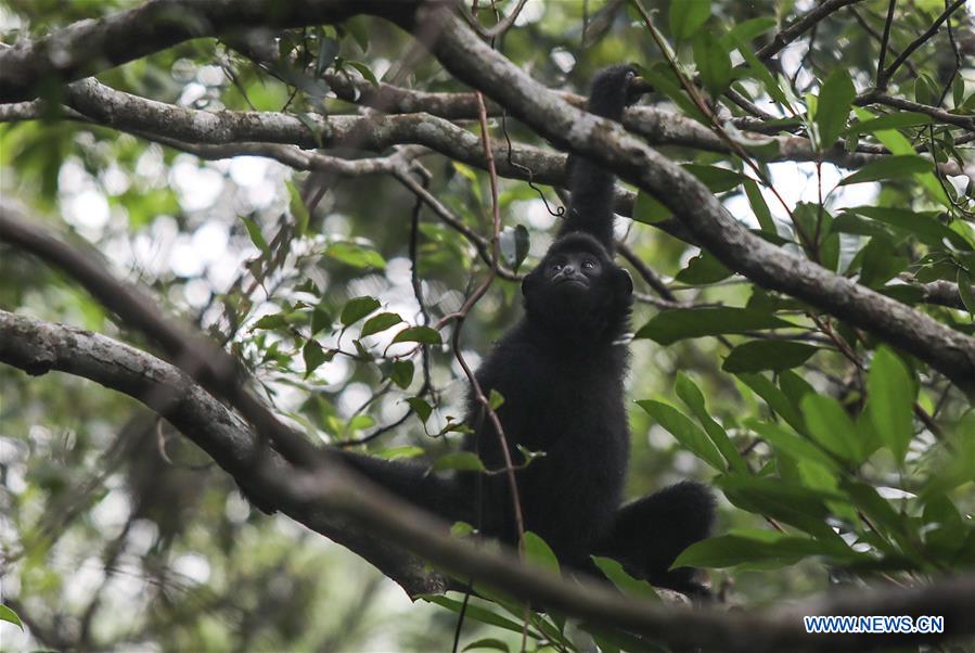 CHINA-HAINAN-NATURE RESERVES (CN)