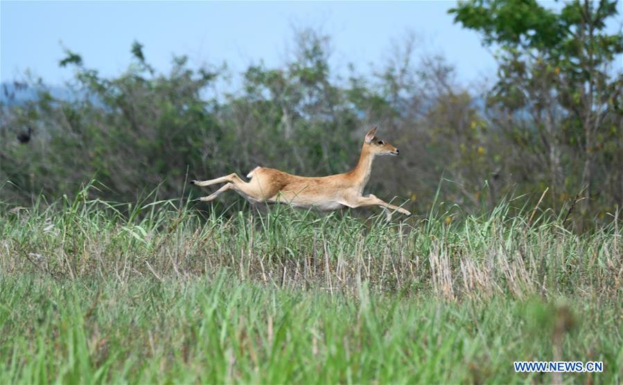 CHINA-HAINAN-NATURE RESERVES (CN)