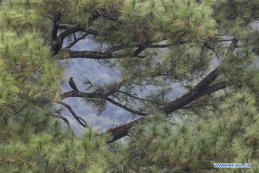 CHINA-HAINAN-NATURE RESERVES (CN)