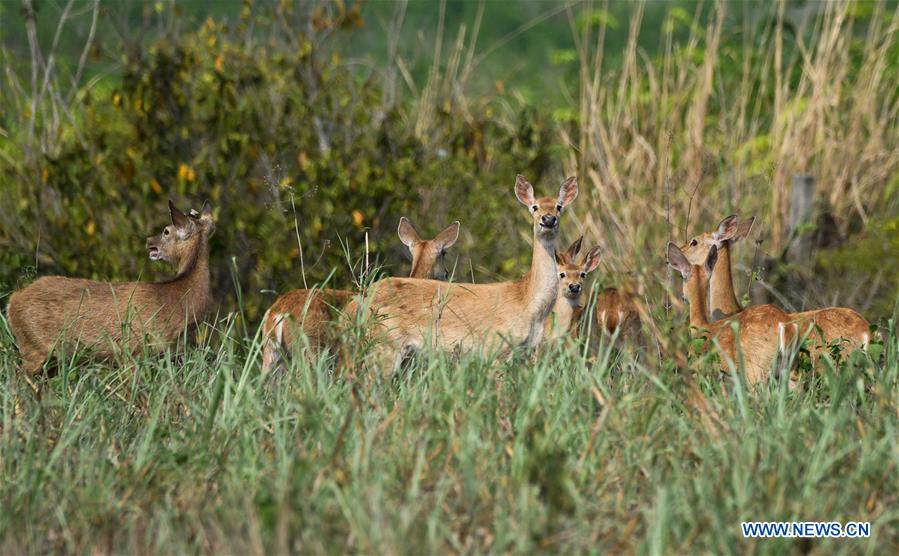 CHINA-HAINAN-NATURE RESERVES (CN)