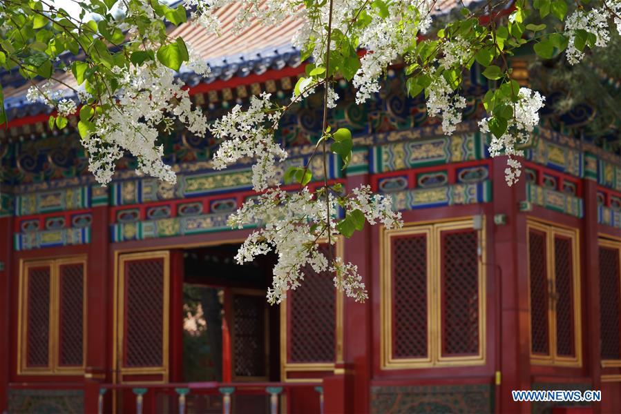 CHINA-BEIJING-FORBIDDEN CITY-"VISIT ON CLOUDS" (CN)
