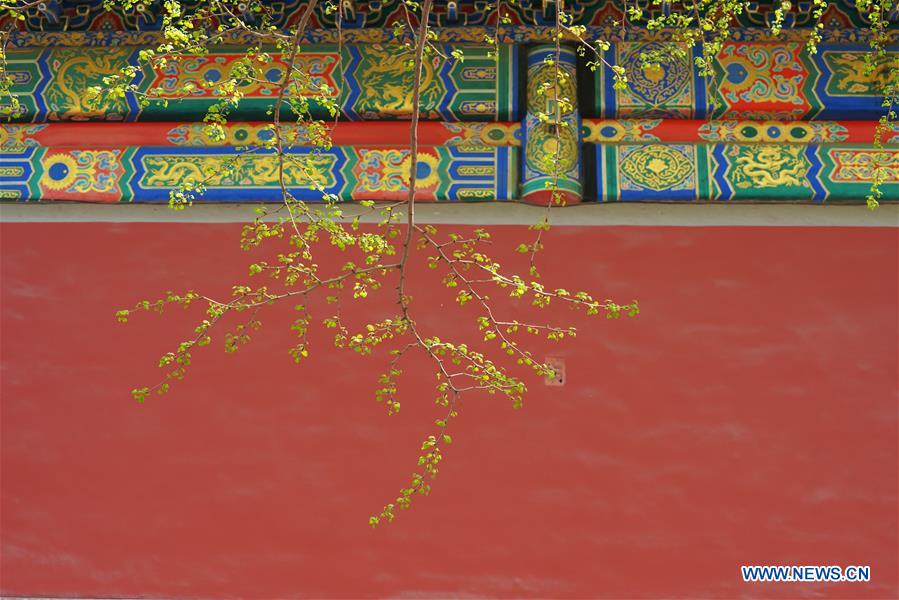 CHINA-BEIJING-FORBIDDEN CITY-"VISIT ON CLOUDS" (CN)