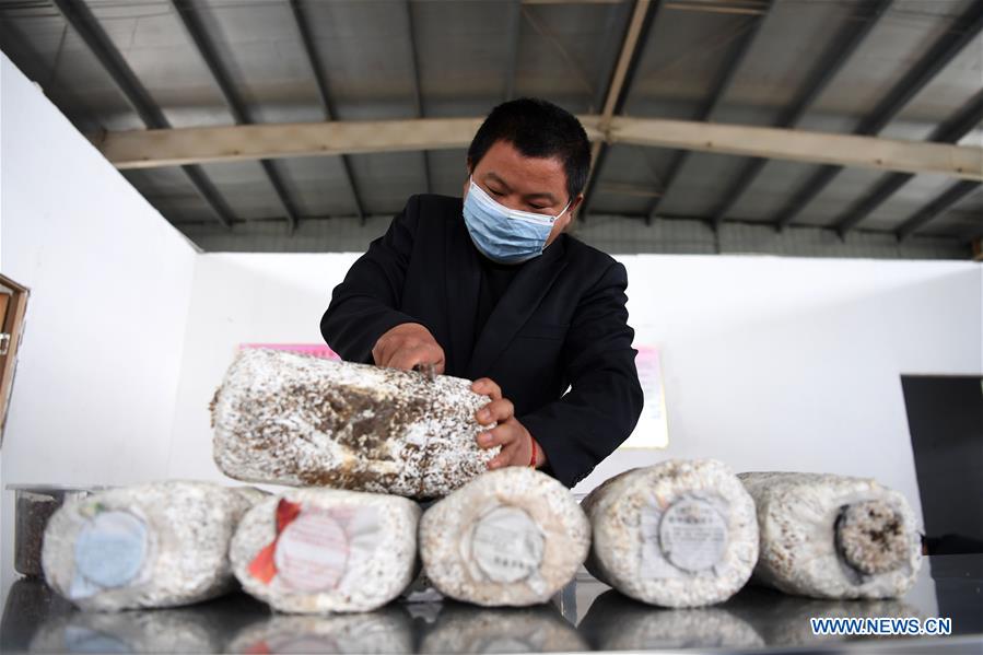 CHINA-ANHUI-FEIXI-POVERTY ALLEVIATION WORKSHOP-RESUMPTION (CN)