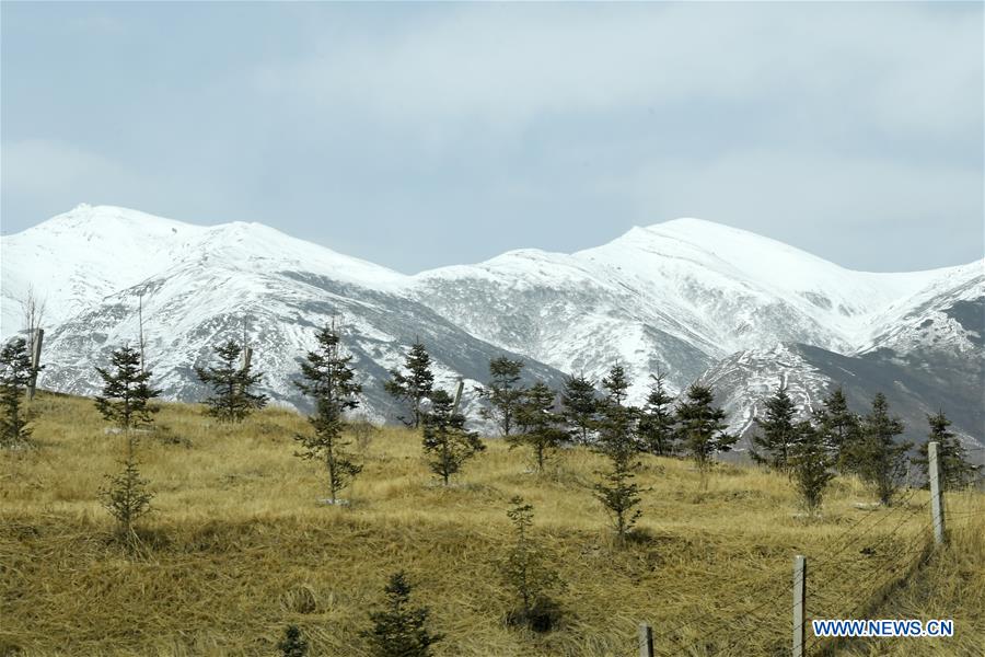 CHINA-GANSU-SNOW SCENERY (CN)