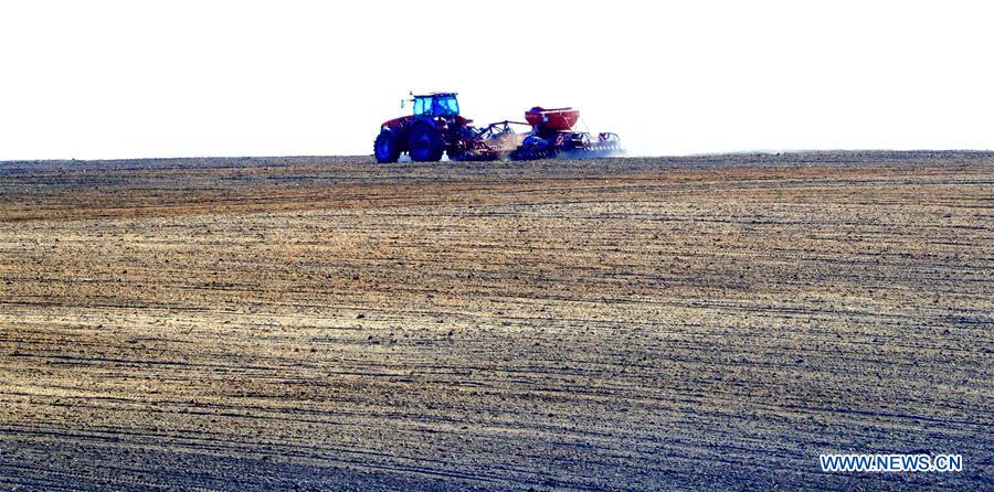 BELARUS-MINSK-FARMING