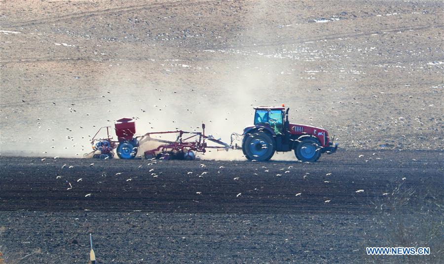 BELARUS-MINSK-FARMING