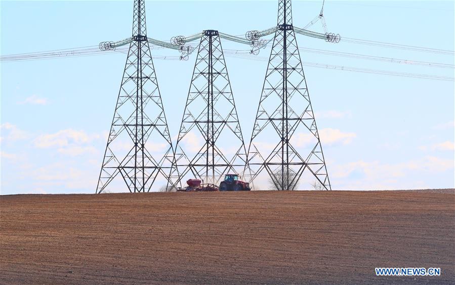 BELARUS-MINSK-FARMING
