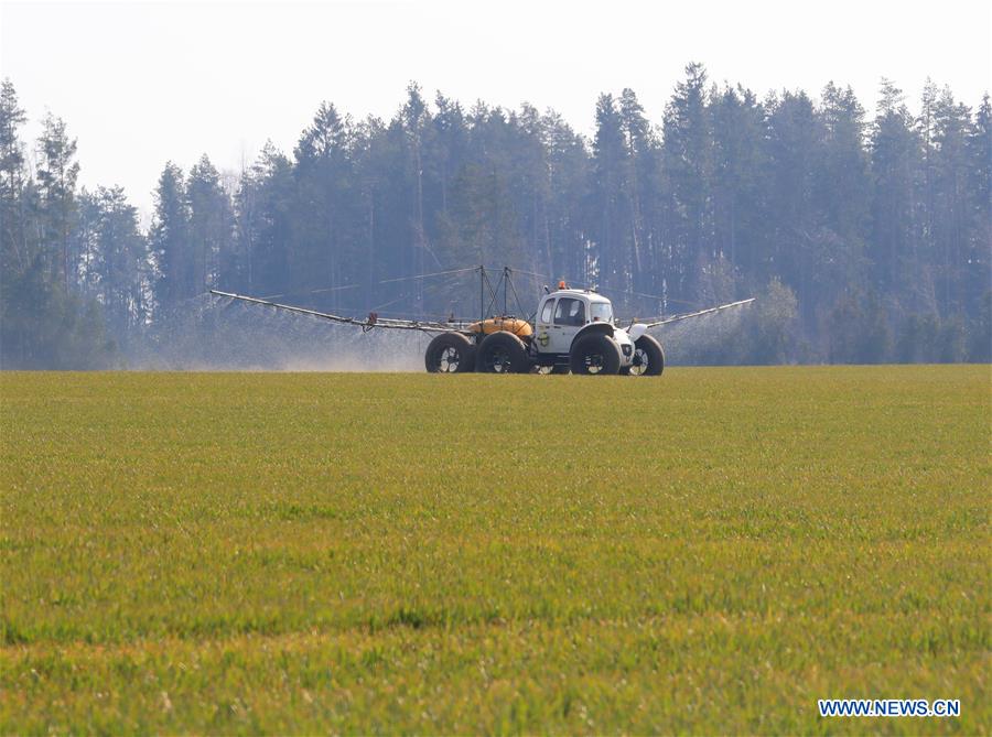 BELARUS-MINSK-FARMING