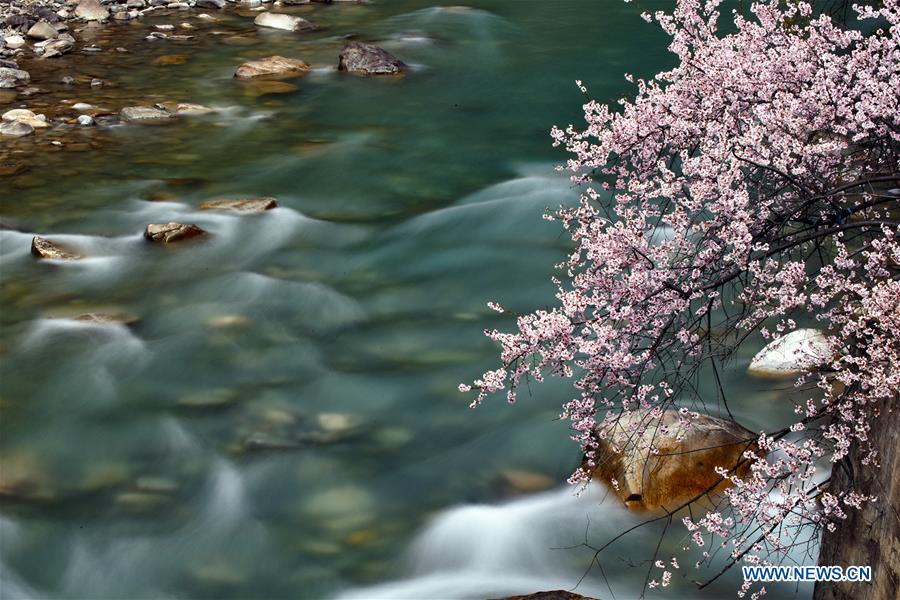 CHINA-TIBET-NYINGCHI-ZAYU-SCENERY (CN)