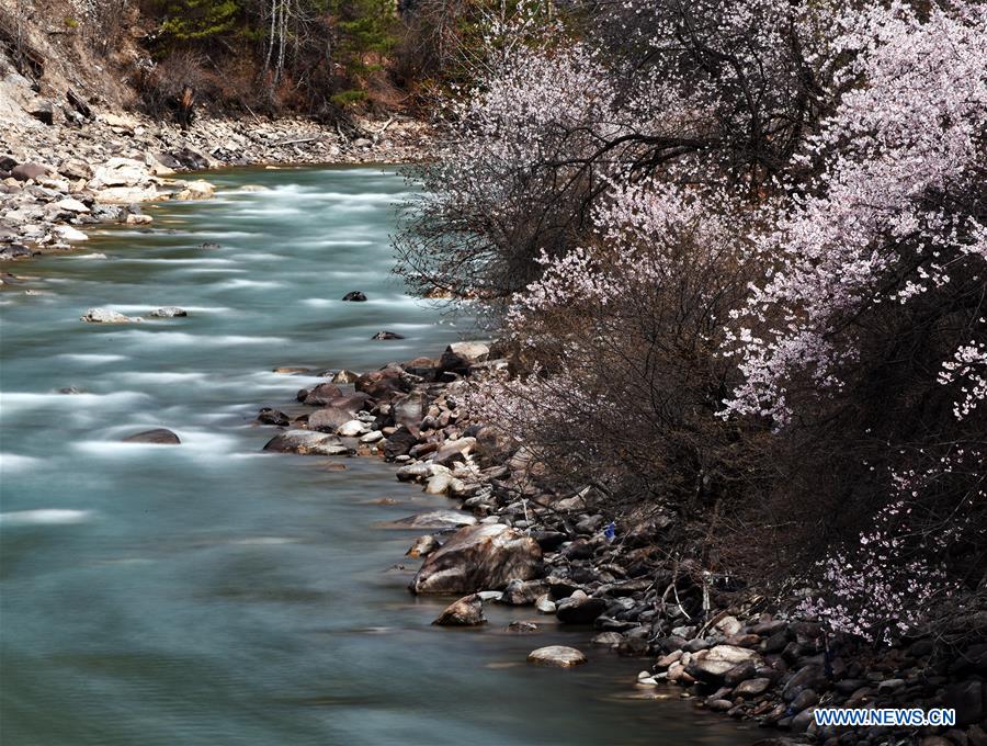 CHINA-TIBET-NYINGCHI-ZAYU-SCENERY (CN)