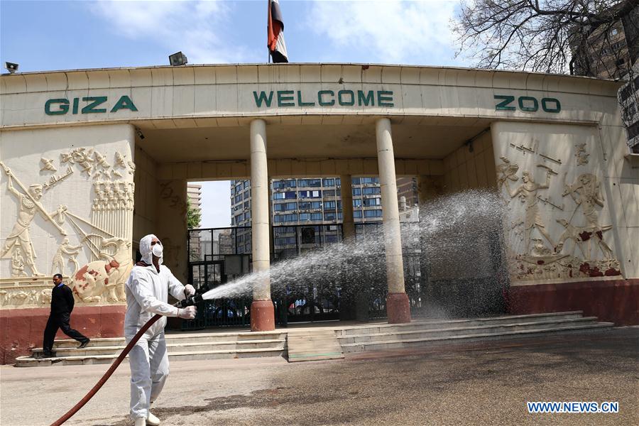 EGYPT-GIZA-COVID-19-ZOO-MEASURES