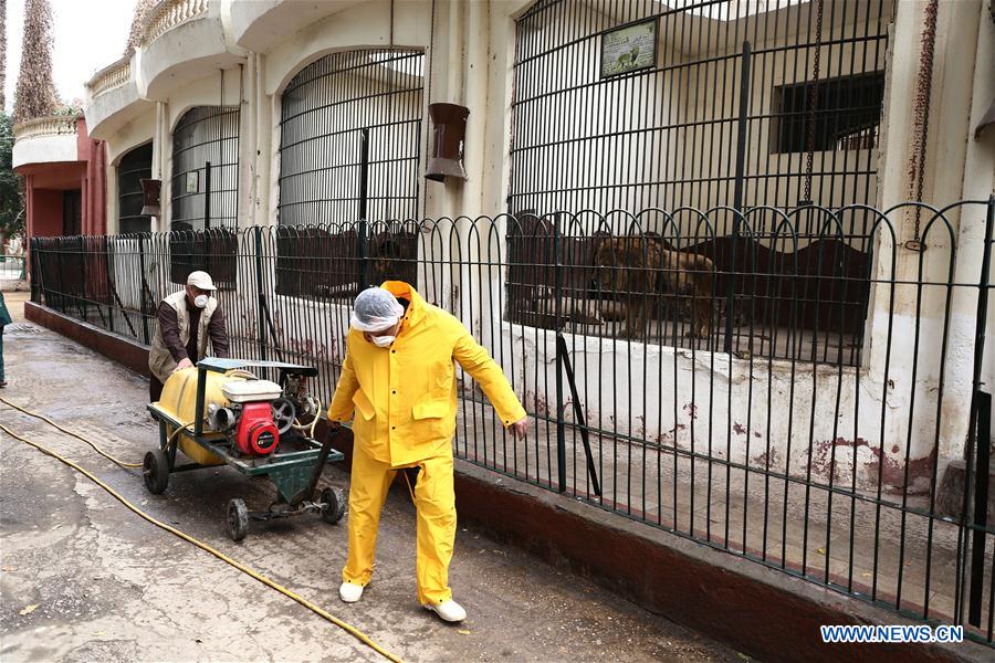 EGYPT-GIZA-COVID-19-ZOO-MEASURES