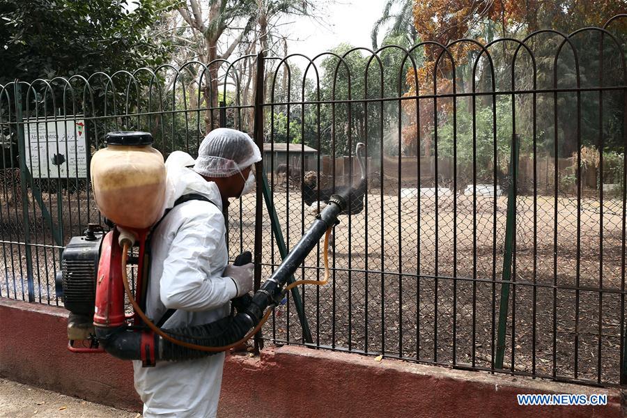 EGYPT-GIZA-COVID-19-ZOO-MEASURES