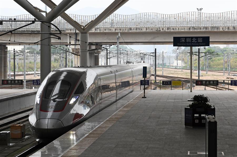 CHINA-GUANGDONG-SHENZHEN-TRAIN FROM WUHAN-ARRIVAL (CN)